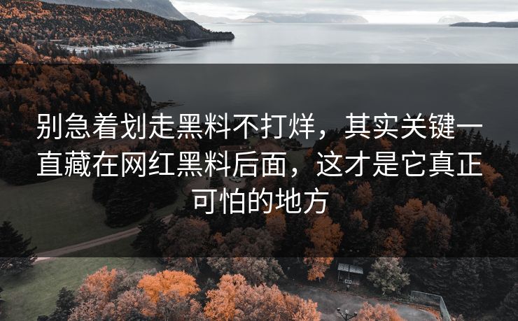 别急着划走黑料不打烊，其实关键一直藏在网红黑料后面，这才是它真正可怕的地方