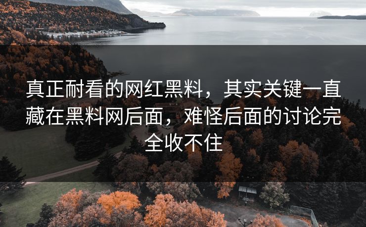 真正耐看的网红黑料，其实关键一直藏在黑料网后面，难怪后面的讨论完全收不住