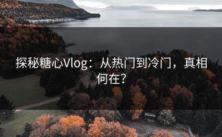 探秘糖心Vlog:从热门到冷门,真相何在?