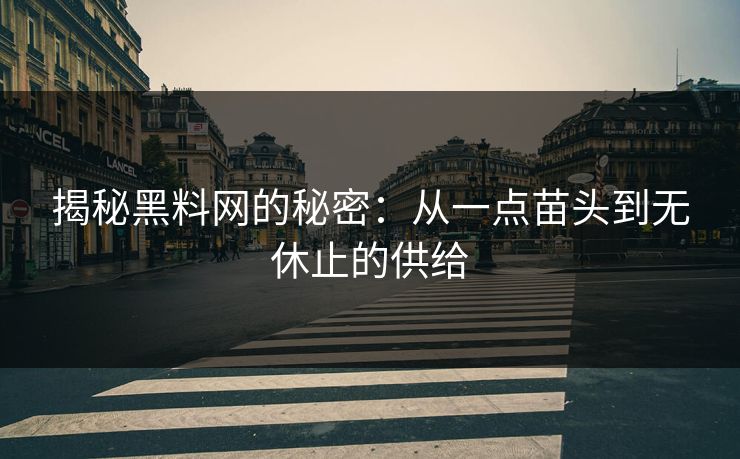 揭秘黑料网的秘密：从一点苗头到无休止的供给