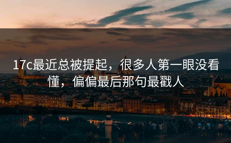 17c最近总被提起,很多人第一眼没看懂,偏偏最后那句最戳人